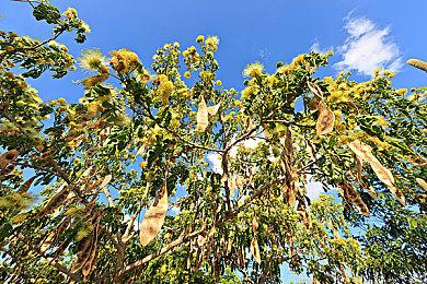 《幽灵行者》DLC宣布跳票 发布时间将推迟至3月3日