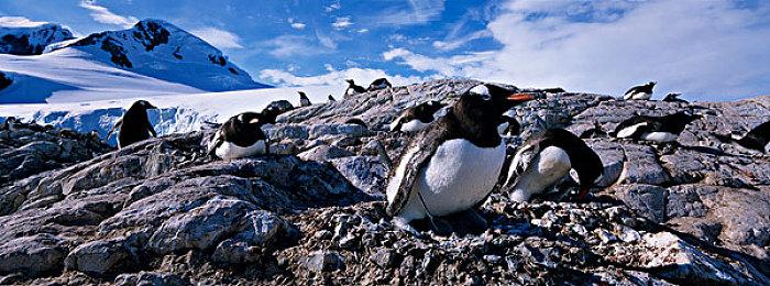 芙兰朵露的RPG大冒险！东方游戏《绯红编年史》现已上线！